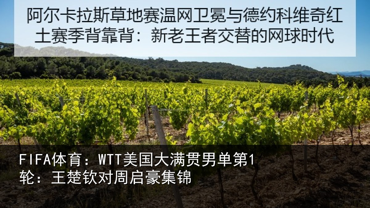 FIFA体育：WTT美国相关情况楚钦对周启豪集锦